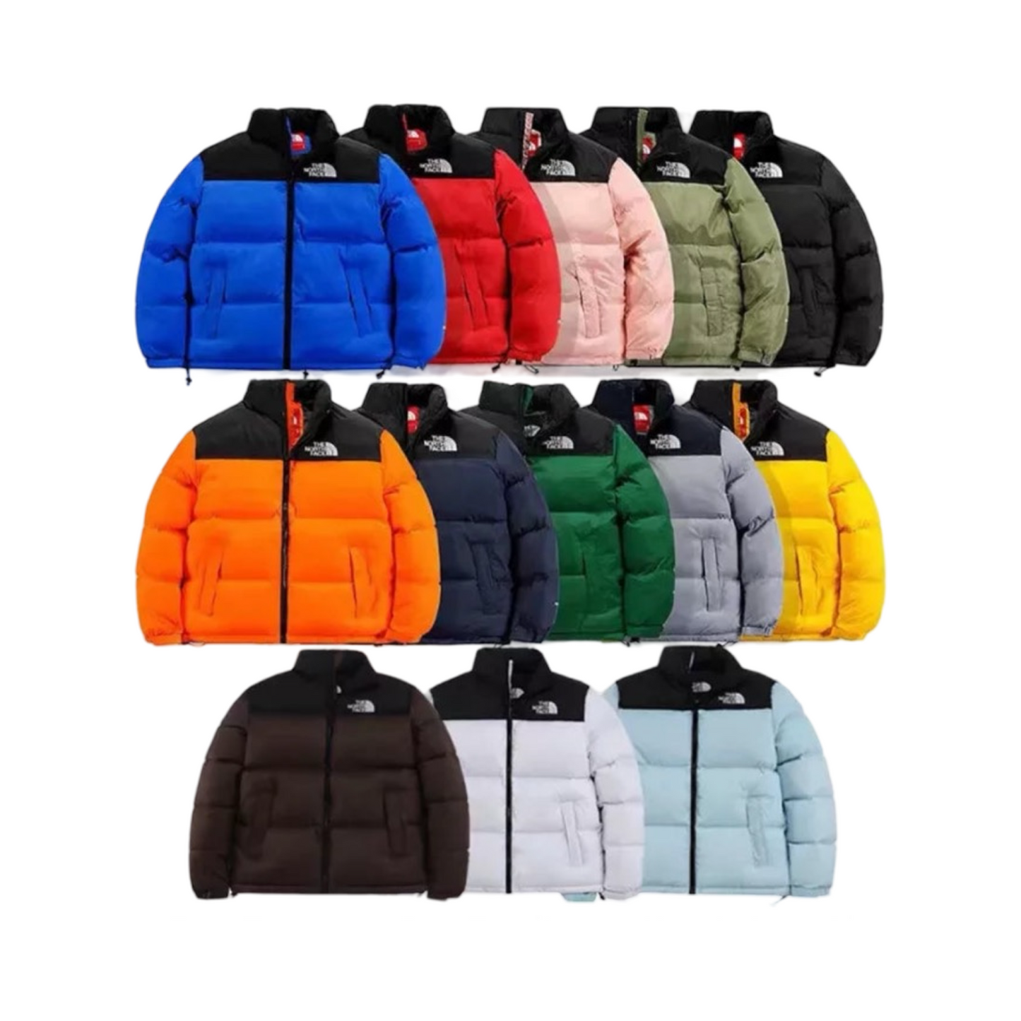 Giubbotto The North Face