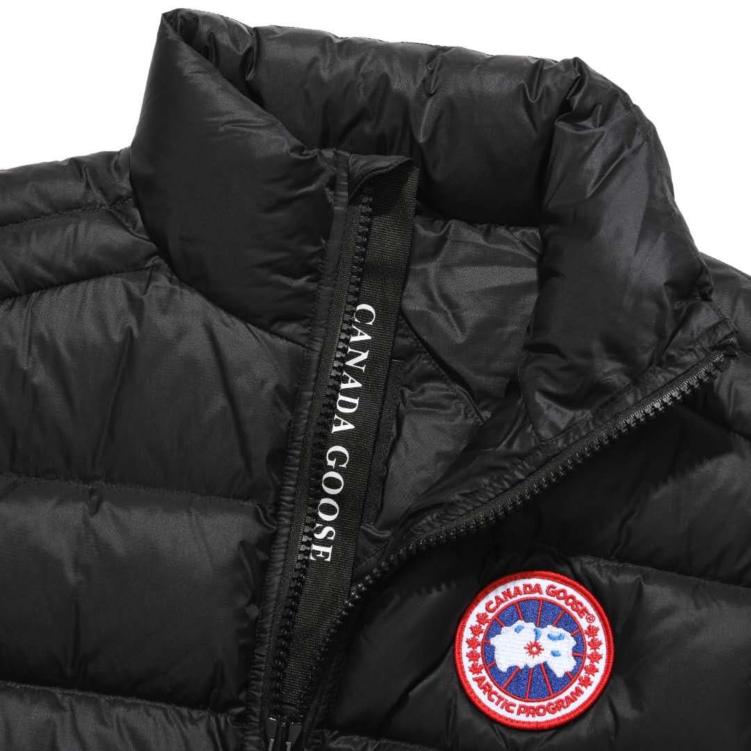 Smanicato Canada Goose